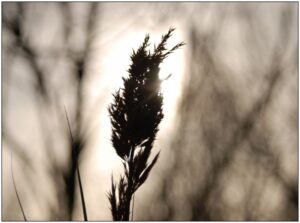 stelo controluce hdr