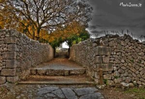 viale romano